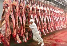 Preço da carne bovina desacelera e segue em tendência de queda, apontam dados do IBGE