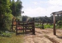 Polícia investiga “mistério” em furto de madeiras em sítio de idoso em Chupinguaia