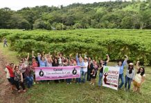 Mulheres são protagonistas na produção de café em RO