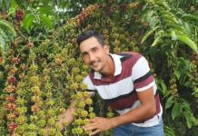 Cafeicultor de Rondônia vence concurso nacional da Abic
