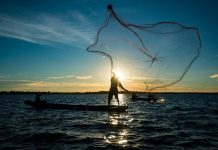 Autorizações para embarcações pesqueiras são prorrogadas por 240 dias