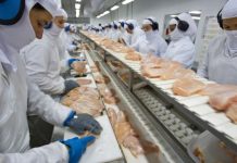 Volume de frango exportado em fevereiro é recorde para o mês