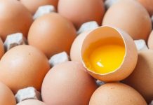 Abate de suínos, produção de ovos e leite atingem recordes em 2019