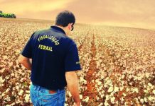 Decreto define vigilância agropecuária como atividade essencial ao país