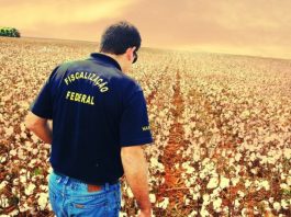 Decreto define vigilância agropecuária como atividade essencial ao país