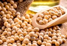 Colheita da soja atinge 74% da área no Brasil, aponta consultoria