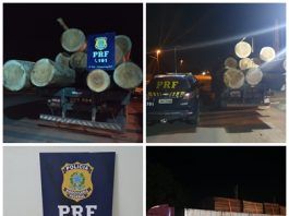 PRF registra dois crimes ambientais e uma embriaguez ao volante nas últimas 24 horas em RO