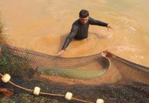 Período de defeso para o tambaqui terminou, mas segue restrito para o pirarucu até dia 30 de abril