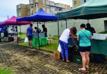 Produtores rurais de RO levam produtos da agricultura familiar a condomínios em feira itinerante
