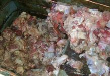 Em Cabixi, produtos da merenda estragam por falta de energia em escola; secretária explica