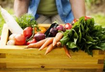 R$ 500 milhões são liberados para compra de produtos da agricultura familiar