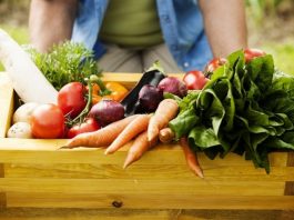 R$ 500 milhões são liberados para compra de produtos da agricultura familiar