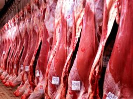 BOI: apesar de cenário incerto, exportações seguem firmes