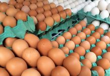 OVOS: preços se mantém inalterados no decorrer do mês