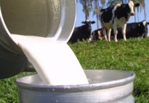 Faperon, sindicatos e produtores de leite pedem providências do governo quanto ao preço do leite em RO