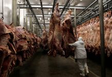Vendas de carne bovina e suína ao exterior avançam em abril, informa Ministério da Economia