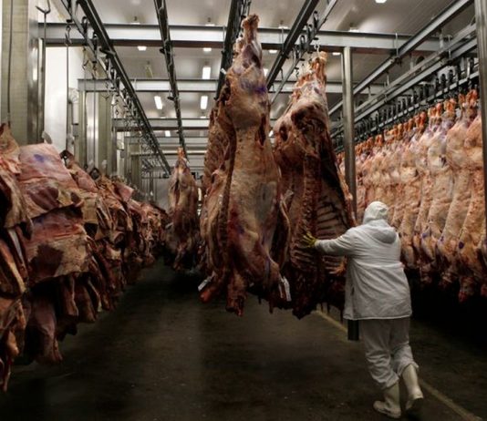 Vendas de carne bovina e suína ao exterior avançam em abril, informa Ministério da Economia