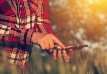 Aplicativo Bioinsumos ajuda produtor rural a controlar pragas e doenças