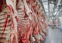 Preço da carne bovina no atacado tem alta de 2,2% na comparação mensal