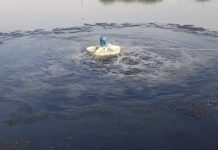 Prefeitura de Cacoal construirá leito de secagem na lagoa de tratamento de esgoto do SAAE