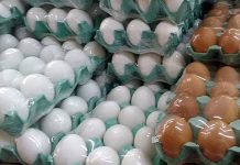 OVOS: preços tem boa evolução no início de maio