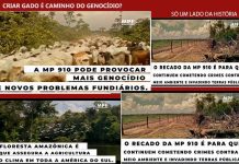 OPINIÃO DE PRIMEIRA: para o Ministério Público Federal, MP da regularização fundiária trará um genocídio à região amazônica