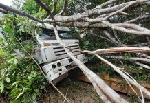 Empresário morre após caminhão cair em ribanceira na BR-364 em RO