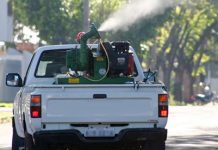 Rogério Golfetto indica necessidade de carro fumacê para combate à dengue em Vilhena