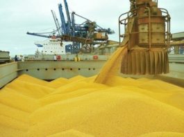 Exportação do agro cresce 6% no 1º quadrimestre de 2020