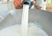 Indústrias de produtos de origem animal podem emitir online vistoria para construção de terreno em RO