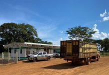 Vilhena e Cabixi recebem postos de fiscalização agropecuária