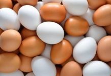 Recuos de preços no mercado de ovos
