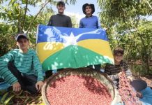 Com apoio de Cirone Deiró, associação Vida Nova receberá R$ 70 mil para produção de café em Cacoal