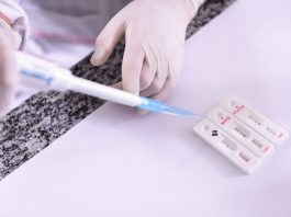 Rondônia registra 861 casos de Covid-19 e 29 mortes; confira boletim desta terça