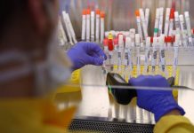 Sobe para 25 mortes e 756 casos de coronavírus em RO; veja boletim desta segunda-feira