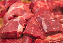 Exportações totais de carne bovina crescem 21% em maio, aponta Abrafrigo