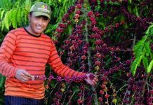 Intercâmbio entre Brasil e Colômbia terá projetos de Rondônia