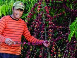 Intercâmbio entre Brasil e Colômbia terá projetos de Rondônia