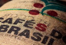 Exportações de café brasileiro atingem 3 milhões de sacas em maio