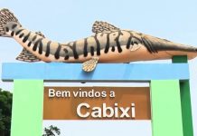 CABIXI: indignação de moradora repercute e presidente do Conselho de Saúde revela falta de interesse de vereadores em discutir combate à pandemia