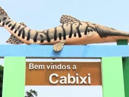 CABIXI: indignação de moradora repercute e presidente do Conselho de Saúde revela falta de interesse de vereadores em discutir combate à pandemia