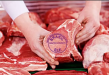 Exportação total de carne bovina em maio avança 33% frente ao mês anterior