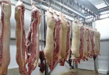 Exportações em alta empurram para cima o preço da carne suína no mercado interno