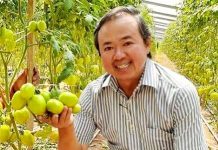 Ação tenta impedir, mas Justiça Eleitoral mantém diplomação de Japonês, acusado de compra de votos em Vilhena