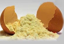 Indústrias apostam na produção de ovo em pó
