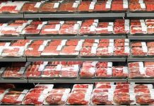 Saiba quais são os impactos das exportações na produção da carne bovina brasileira