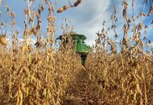 Com recordes de valores de soja e milho, VBP de 2020 é estimado em R$ 716,6 bilhões