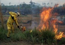 Governo fortalece ações de combate às queimadas em Cerejeiras e região