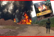 OPINIÃO DE PRIMEIRA: Fiscais do Ibama estão perdendo os superpoderes que os autorizavam até a queima de máquinas