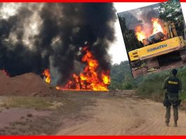 OPINIÃO DE PRIMEIRA: Fiscais do Ibama estão perdendo os superpoderes que os autorizavam até a queima de máquinas